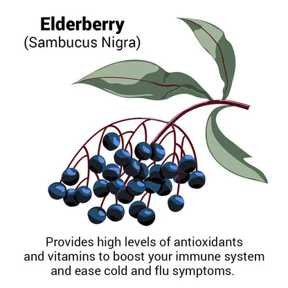 Immune Booster (Echinacea&Elderberry) 60 caps